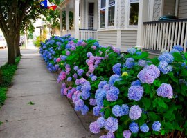 Chadwick Cottage Vacation Rental Home, Ocean Grove, NJ